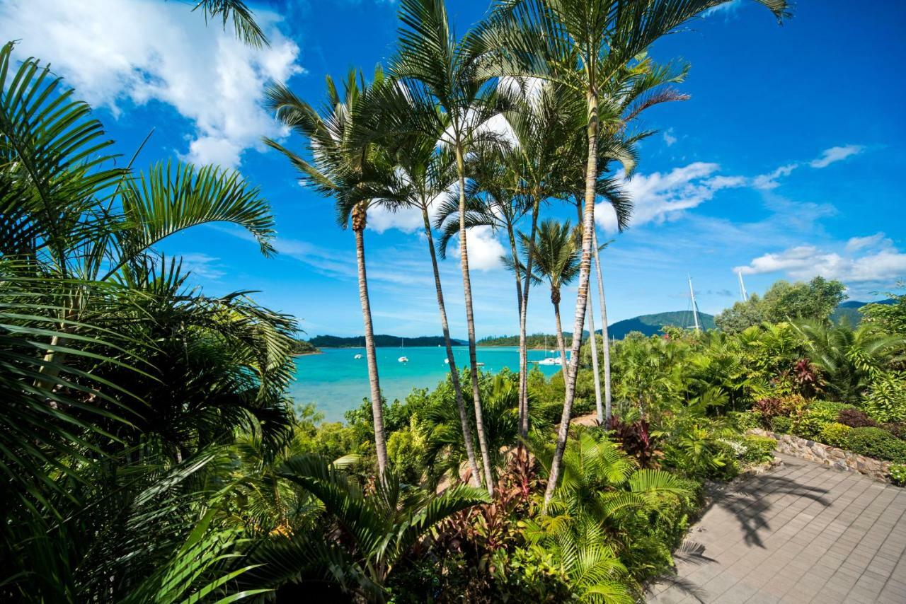 Baybliss Apartments Studio 1 Shute Harbour 외부 사진