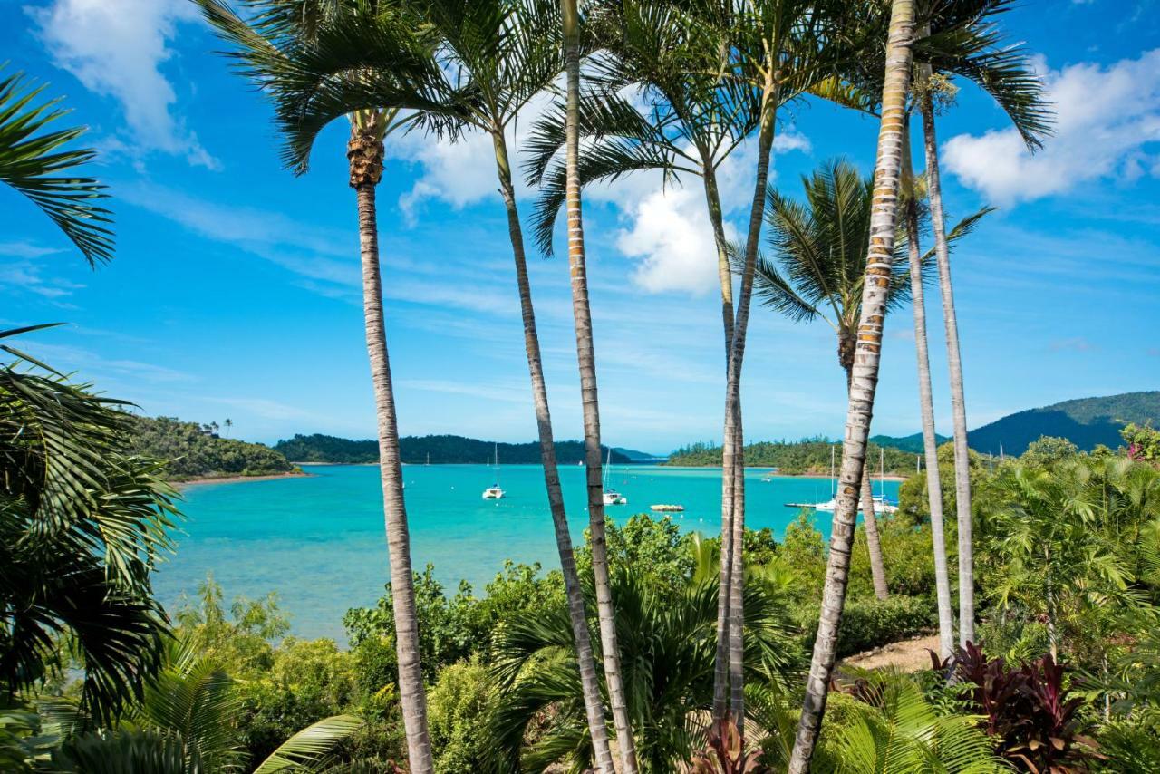 Baybliss Apartments Studio 1 Shute Harbour 외부 사진